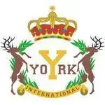 York Montessori International - Tuen Mun